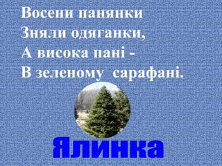 Восени панянки
Зняли одяганки,
А висока пані В зеленому сарафані.

 
