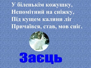 У біленькім кожушку,
Непомітний на сніжку,
Під кущем калини ліг
Причаївся, став, мов сніг.

 