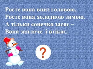 Росте вона вниз головою,
Росте вона холодною зимою.
А тільки сонечко засяє –
Вона заплаче і втікає.

 
