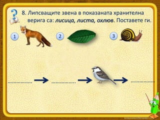 8. Липсващите звена в показаната хранителна
верига са: лисица, листа, охлюв. Поставете ги.
1

……………..

2

……………..

3

……………..

 