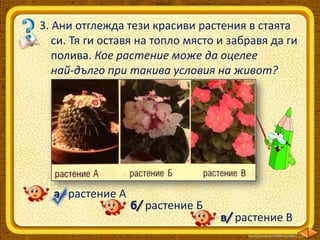 3. Ани отглежда тези красиви растения в стаята
си. Тя ги оставя на топло място и забравя да ги
полива. Кое растение може да оцелее
най-дълго при такива условия на живот?

а/ растение А

б/ растение Б

в/ растение В

 