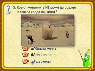 5. Кое от животните НЕ може да оцелее
в такава среда на живот?

а/ бялата мечка
б/ пингвинът

в/ щъркелът

 
