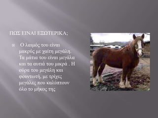 ΠΧ΢ ΔΗΝΑΗ ΔΞΧΣΔΡΗΚΑ;


Ο ιαηκόο ηνπ είλαη
καθξύο κε ραίηε κεγάιε.
Σα κάηηα ηνπ είλαη κεγάια
θαη ηα απηηά ηνπ κηθξά . Ζ
νύξα ηνπ κεγάιε θαη
θνπλησηή, κε ηξίρεο
κεγάιεο πνπ θαιύπηνπλ
όιν ην κήθνο ηεο

 