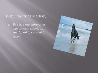 ΠΧ΢ ΔΗΝΑΗ ΣΟ ΢ΧΜΑ ΣΟΤ;


Σν ζώκα ηνπ θαιύπηεηαη
από ηξίρσκα ππθλό, κε
θνληέο, ςηιέο θαη απαιέο
ηξίρεο.

 