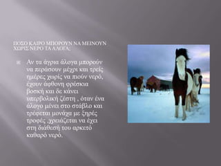 ΠΟ΢Ο ΚΑΗΡΟ ΜΠΟΡΟΤΝ ΝΑ ΜΔΗΝΟΤΝ
ΥΧΡΗ΢ ΝΔΡΟ ΣΑ ΑΛΟΓΑ;


Αλ ηα άγξηα άινγα κπνξνύλ
λα πεξάζνπλ κέρξη θαη ηξείο
εκέξεο ρσξίο λα πηνύλ λεξό,
έρνπλ άθζνλε θξέζθηα
βνζθή θαη δε θάλεη
ππεξβνιηθή δέζηε , όηαλ έλα
άινγν κέλεη ζην ζηάβιν θαη
ηξέθεηαη κνλάρα κε μεξέο
ηξνθέο ,ρξεηάδεηαη λα έρεη
ζηε δηάζεζή ηνπ αξθεηό
θαζαξό λεξό.

 