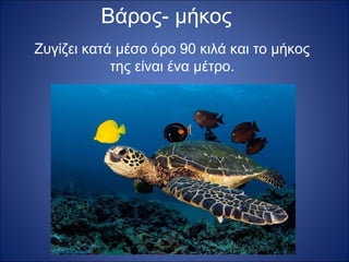 Βάρος- μήκος
Ζυγίζει κατά μέσο όρο 90 κιλά και το μήκος
της είναι ένα μέτρο.

 