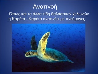 Αναπνοή
Όπως και τα άλλα είδη θαλάσσιων χελωνών
η Καρέτα - Καρέτα αναπνέει με πνεύμονες.

 