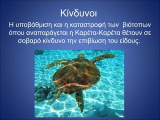 Κίνδυνοι
Η υποβάθμιση και η καταστροφή των βιότοπων
όπου αναπαράγεται η Καρέτα-Καρέτα θέτουν σε
σοβαρό κίνδυνο την επιβίωση του είδους.

 