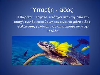 Ύπαρξη - είδος
Η Καρέτα – Καρέτα υπάρχει στην γη από την
εποχή των δεινοσαύρων και είναι το μόνο είδος
θαλάσσιας χελώνας που αναπαράγεται στην
Ελλάδα.

 