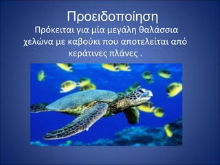 Προειδοποίηση

Πρόκειται για μία μεγάλη θαλάσσια
χελώνα με καβούκι που αποτελείται από
κεράτινες πλάνες .

 