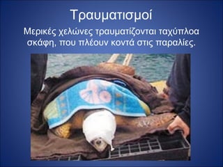 Τραυματισμοί
Μερικές χελώνες τραυματίζονται ταχύπλοα
σκάφη, που πλέουν κοντά στις παραλίες.

 