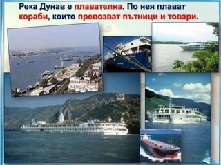 Река Дунав е плавателна. По нея плават
кораби, които превозват пътници и товари.

 