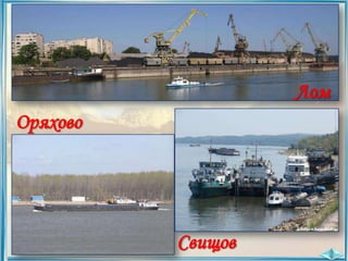 Лом
Оряхово

Свищов

 