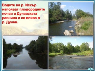 Водите на р. Искър
напояват плодородните
почви в Дунавската
равнина и се влива в
р. Дунав.

 