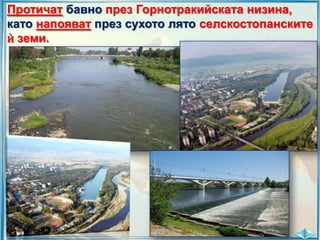 Протичат бавно през Горнотракийската низина,
като напояват през сухото лято селскостопанските
ѝ земи.

 