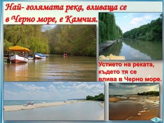 Най- голямата река, вливаща се
в Черно море, е Камчия.

Устието на реката,
където тя се
влива в Черно море.

 