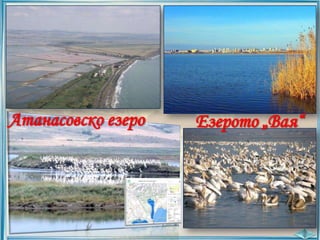 Атанасовско езеро

Езерото „Вая“

 