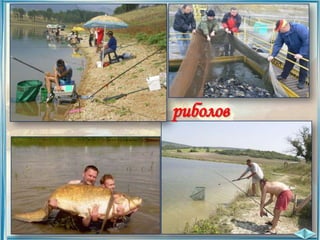 риболов

 