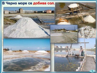 В Черно море се добива сол.

 