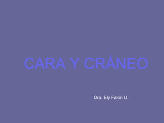 CARA Y CRÁNEO
Dra. Ely Falon U.

 