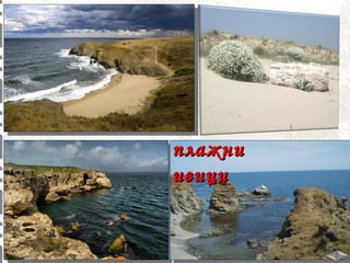 плажни
ивици

 