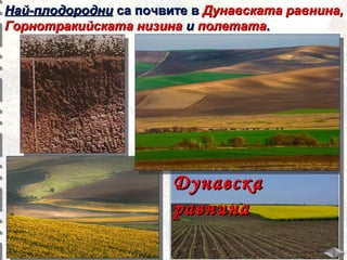 Най-плодородни са почвите в Дунавската равнина,
Горнотракийската низина и полетата.

Дунавска
равнина

 