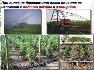 При липса на достатъчно влага почвите се
напояват с води от реките и язовирите.

 