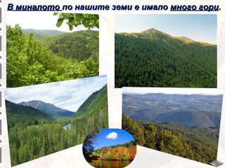 В миналото по нашите земи е имало много гори.

 