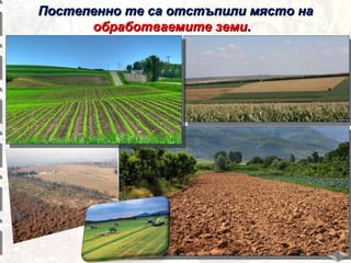 Постепенно те са отстъпили място на
обработваемите земи.

 