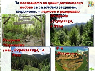 За опазването на ценни растителни
видове са създадени защитени
територии – паркове и резервати.

Резерват
„Скакавица„
в Рила
Резерват
"Червената
„ Парангалица„ в
стена"
Рила

Р-т
„Ропотамо„

 