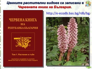 Ценните растителни видове са записани в
Червената книга на България.

http://e-ecodb.bas.bg/rdb/bg/

 