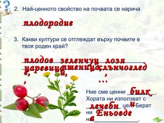 2. Най-ценното свойство на почвата се нарича

плодородие

______________.

3. Какви култури се отглеждат върху почвите в
твоя роден край?

плодов зеленчуц лозя
пшеница,
слънчоглед
царевица
е,
и,
,
…
,
Ние сме ценни _________.
билк
Хората ни използват с
___________ цел. Берат
лечебн и
ни Еньовде
а
на ______________.

_______________________________________
_______________________________________

 