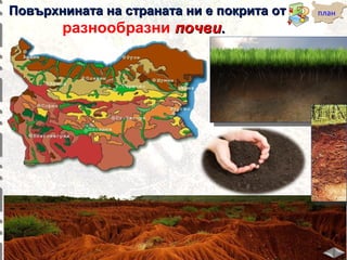 Повърхнината на страната ни е покрита от
разнообразни почви.

план

 