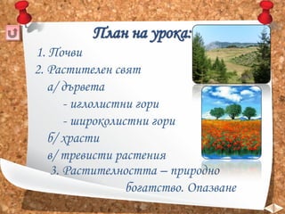 1. Почви
2. Растителен свят
а/ дървета
- иглолистни гори
- широколистни гори
б/ храсти
в/ тревисти растения
3. Растителността – природно
богатство. Опазване

 