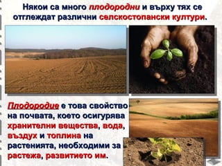 Някои са много плодородни и върху тях се
отглеждат различни селскостопански култури.

Плодородие е това свойство
на почвата, което осигурява
хранителни вещества, вода,
въздух и топлина на
растенията, необходими за
растежа, развитието им.

 