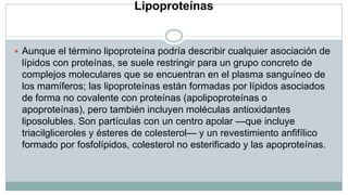 Lipoproteínas

 Aunque el término lipoproteína podría describir cualquier asociación de

lípidos con proteínas, se suele restringir para un grupo concreto de
complejos moleculares que se encuentran en el plasma sanguíneo de
los mamíferos; las lipoproteínas están formadas por lípidos asociados
de forma no covalente con proteínas (apolipoproteínas o
apoproteínas), pero también incluyen moléculas antioxidantes
liposolubles. Son partículas con un centro apolar —que incluye
triacilgliceroles y ésteres de colesterol— y un revestimiento anfifílico
formado por fosfolípidos, colesterol no esterificado y las apoproteínas.

 