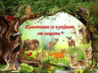 Животните се нуждаят
от защита.

 