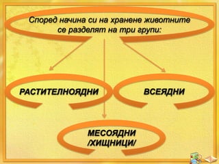 Според начина си на хранене животните
се разделят на три групи:

РАСТИТЕЛНОЯДНИ

МЕСОЯДНИ
/ХИЩНИЦИ/

ВСЕЯДНИ

 