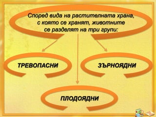 Според вида на растителната храна,
с която се хранят, животните
се разделят на три групи:

ТРЕВОПАСНИ

ЗЪРНОЯДНИ

ПЛОДОЯДНИ

 