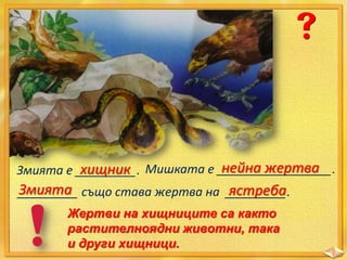 нейна жертва
хищник
Змията е _________. Мишката е _________________.
Змията
ястреба
_________ също става жертва на _________.
Жертви на хищниците са както
растителноядни животни, така
и други хищници.

 