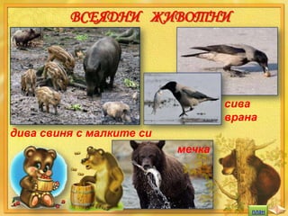 ВСЕЯДНИ ЖИВОТНИ

сива
врана

дива свиня с малките си
мечка

план

 