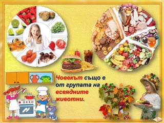 Човекът също е
от групата на
всеядните
животни.

 