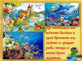 Ще надникнем във
водните басейни и
край бреговете им,
където се срещат
риби, птици и
много други
животни.

 
