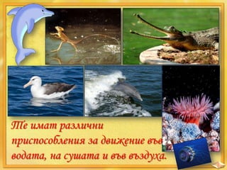 Те имат различни
приспособления за движение във
водата, на сушата и във въздуха.

 