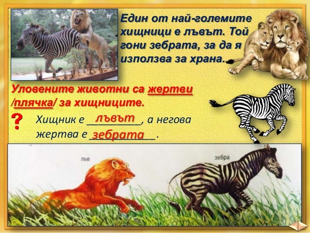 Групиране на животните според начина им на хранене - ЧП,-3-клас, Булв…