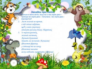 Загадки про квіти
1.

Скільки в мене квітів, якщо всі з них окрім двох –
троянди всі окрім двох - тюльпани, і всі окрім двох маргаритки?

2. Лист зелений не пропав,
а під снігом задрімав,
щоб у синю сукенчину
одягнуть весняну днину. (Барвінок)
3. Із перлин разочок,
зелений листочок.
Аромат духмяний
тішить ліс весняний. (Конвалія)
4. Фіолетові фіранки
у світлиці та на ґанку.
Фіолетові малята
весну люблять зустрічати. (Фіалки)

 