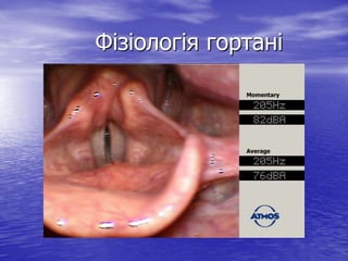 Фізіологія гортані

 