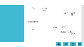 Ca+

pump
Ca+

CU 474 220
ATP

Relaxation)

ATP

Ca+

ATP
Rigor Mortis
ATP

4

-

-

-

 