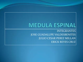 INTEGRANTES
JOSE GUADALUPE VALDESBENITES
JULIO CESAR PEREZ MILLAN
ERICK REYES CRUZ

 