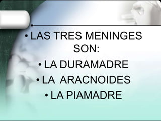 • LAS TRES MENINGES
SON:
• LA DURAMADRE
• LA ARACNOIDES
• LA PIAMADRE

 